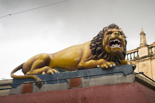 Hindu lion