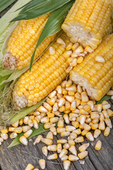Freshly picked domestic corn on an old rustic table