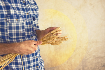 Farmer holding wheat ears