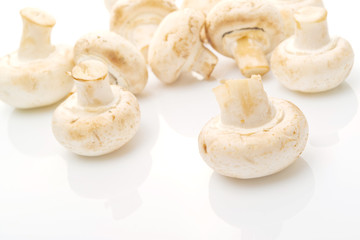 Fresh edible Portabello Mushroom Champignon over white backgroun