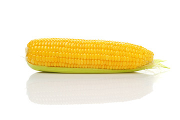 Corn Cob on white background