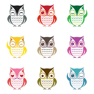 Vector group of owl
