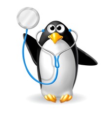 Fototapeta premium pingwin