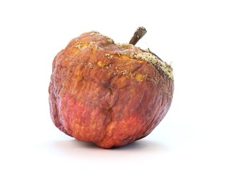 Old rotten apple with large DOF on white background