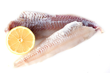 Pollachius virens and Merlangius