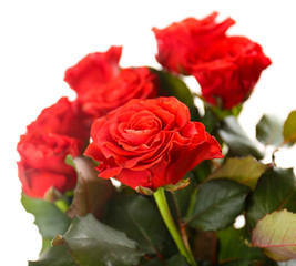 Bouquet of beautiful roses isolated on white