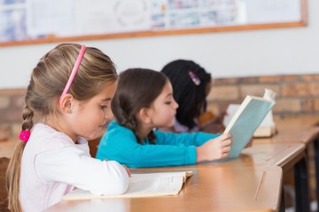 Cute pupils reading books at their desks