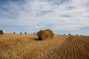 countryside view