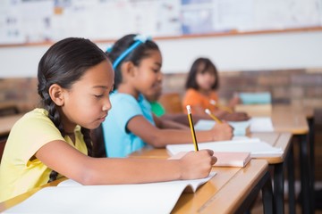 Cute pupils writing at desk in classroom