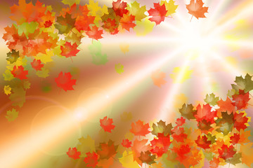 Background of autumn leaf fall