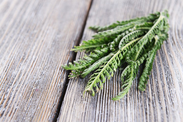 Yarrow on wooden background