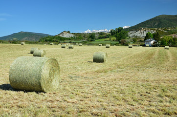 Country landscape in the Spanish Pyrenees