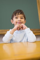 Cute pupil sitting at desk in classroom