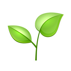 Ecology Concept Icon with Glossy Green Leaves