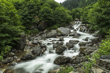 Mountain Stream