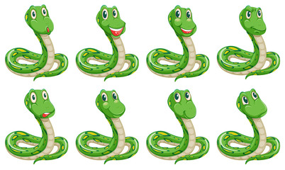 Fototapeta premium Different snake expressions