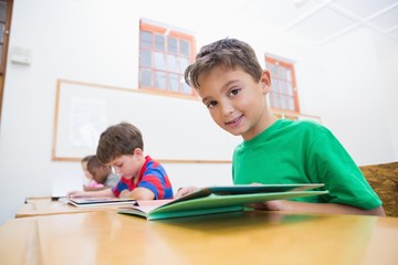 Cute pupils reading at desks