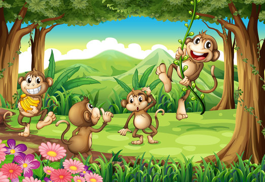 Monkeys playing