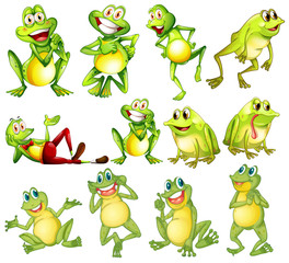 Naklejka premium Set of frogs