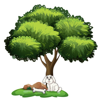 A cute dog under the tree