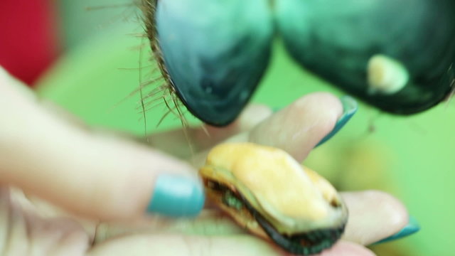 Extracting mussels
