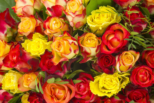 A bouquet of multicolored roses