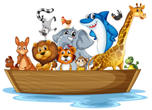 Animal on boat