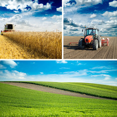 Fototapeta premium Agricultural collage, various farming photos in one.