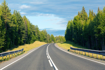 road in the forest