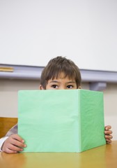 Pupil reading book at desk