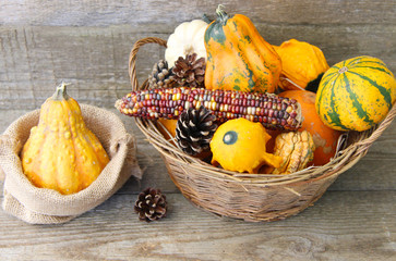 Herbst Naturmort