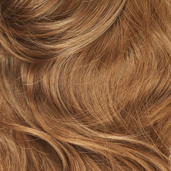 Hair fragment as a background composition