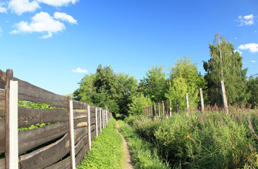 Fototapeta premium Track along the fence