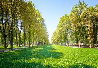 city park in Kharkov. Ukraine.