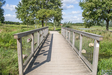 Wooden Bridge