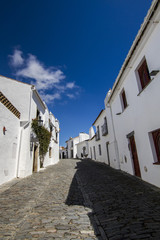 Fototapeta na wymiar streets of the historical village of Monsaraz