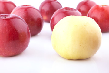 Yellow Apple out of the Red Apples Group
