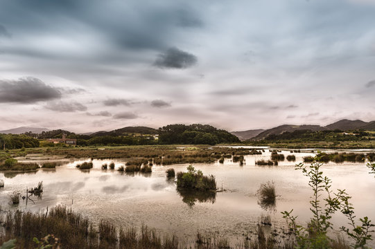 Marismas de Urdaibai