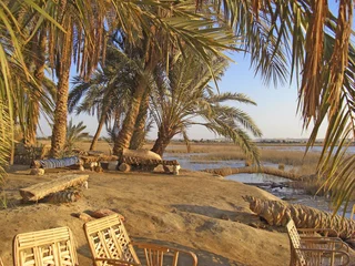 Fototapete Rund Egypte oasis de Siwa © foxytoul
