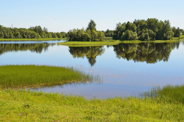 Fototapeta na wymiar Бородаевское озеро в Вологодской области