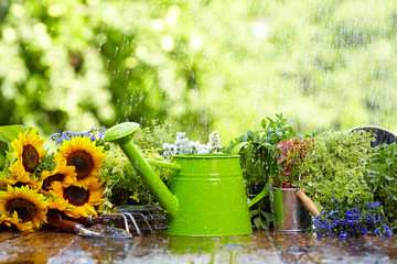 Gardening tool in rain