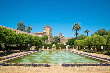 View of Alcazar and Cathedral Mosque of Cordoba, Spain