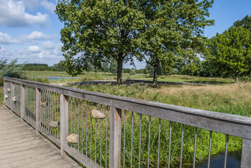 Wooden Bridge - Countryside