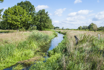 Fototapeta na wymiar Landscape - brook in summer