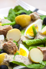 Nicoise salad