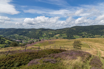 Obraz premium paysage des Vosges