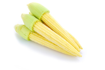 Baby corn or young corn