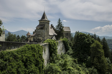 Fototapeta na wymiar Castle