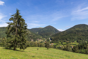 paysage des Vosges