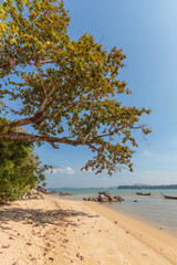 Coconut island beach of Nai Yang Koh Phuket